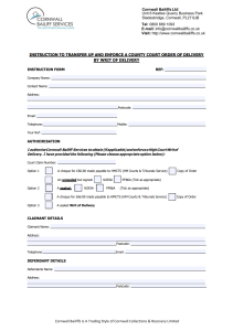 Write of Delivery Form - Cornwall Bailiffs
